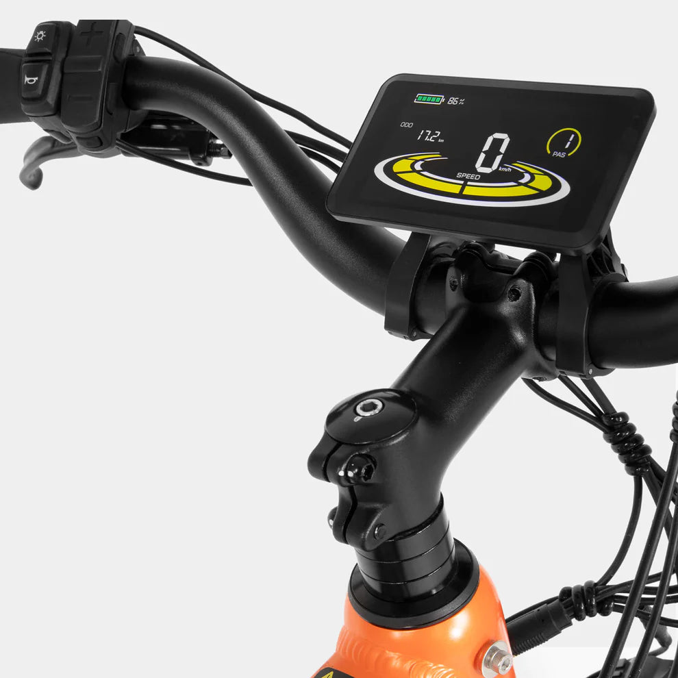 Crazybird Jumper E-Bike