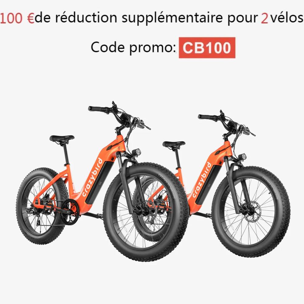 Crazybird Jumper E-Bike