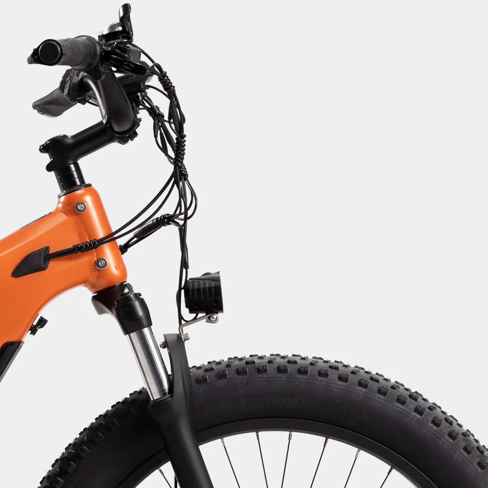 Crazybird Jumper E-Bike