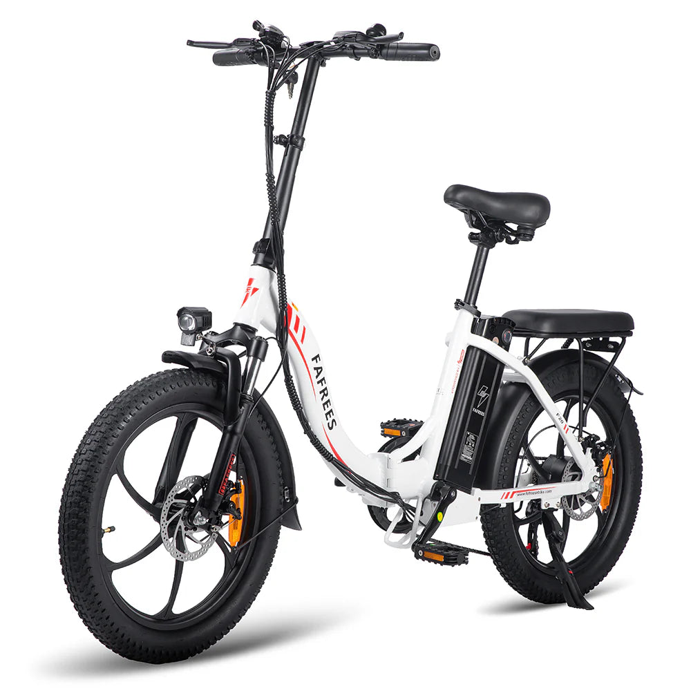303-Fafrees F20 Fat-Reifen E-Bike
