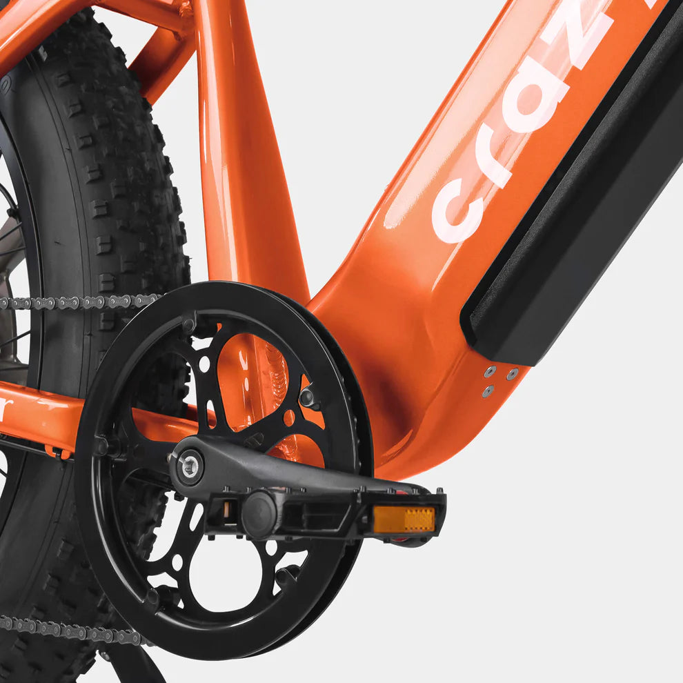 Crazybird Jumper E-Bike