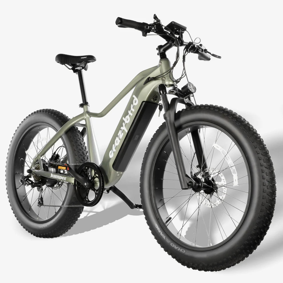 Crazybird Jumper E-Bike