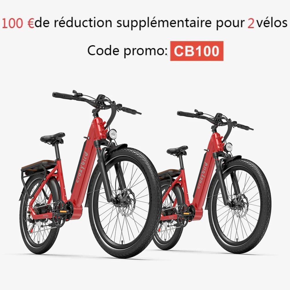 Crazybird Seta E-Bike